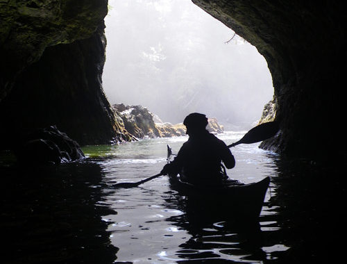 Deer Group Paddling Tales Kayakingskills