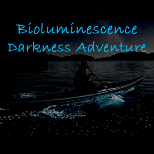 Kayaker paddling through glowing bioluminescent waters beneath a starlit sky on Saturna Island BC